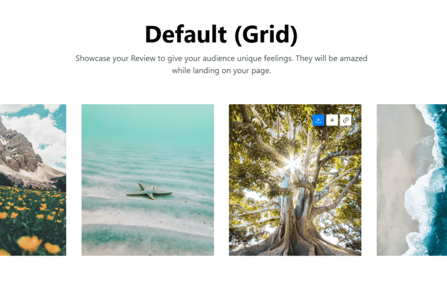 Gallery Block #Style 1