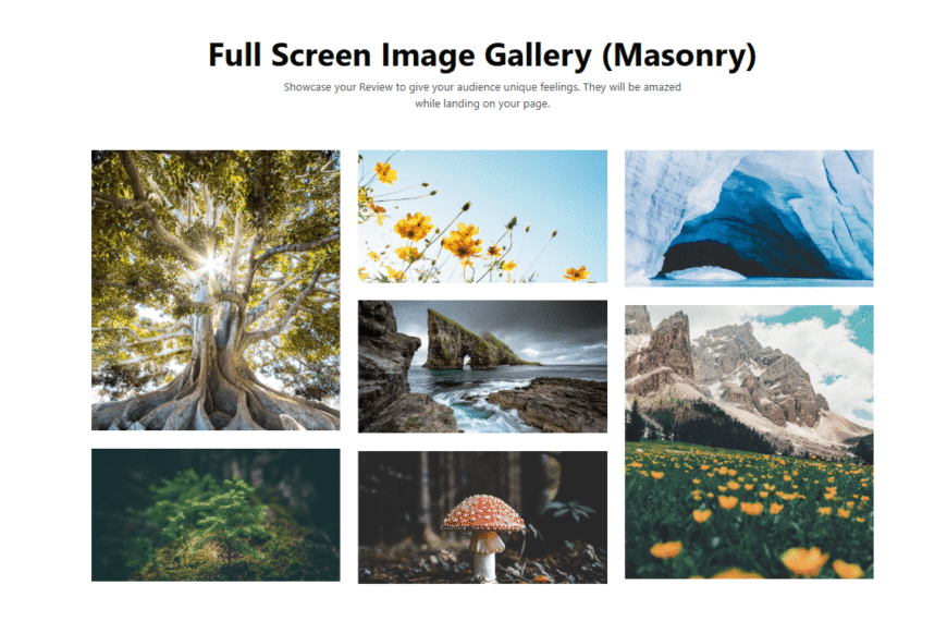 Gallery Block #Style 2