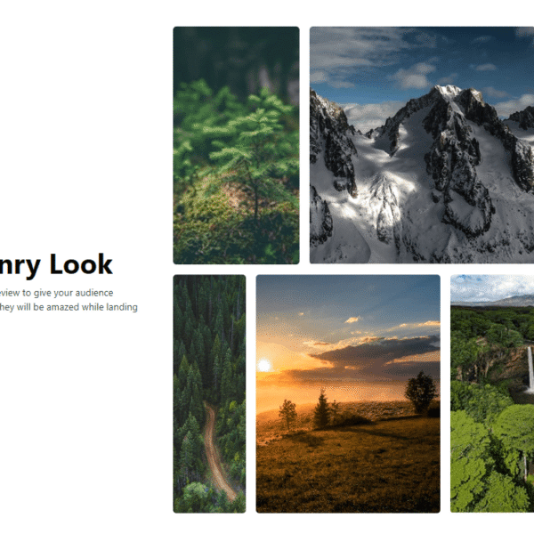 Gallery Block #Style 4