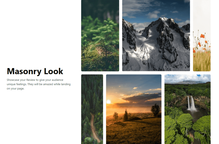 Gallery Block #Style 4