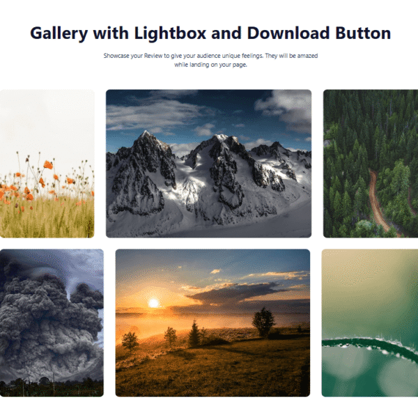 Gallery Block #Style 5