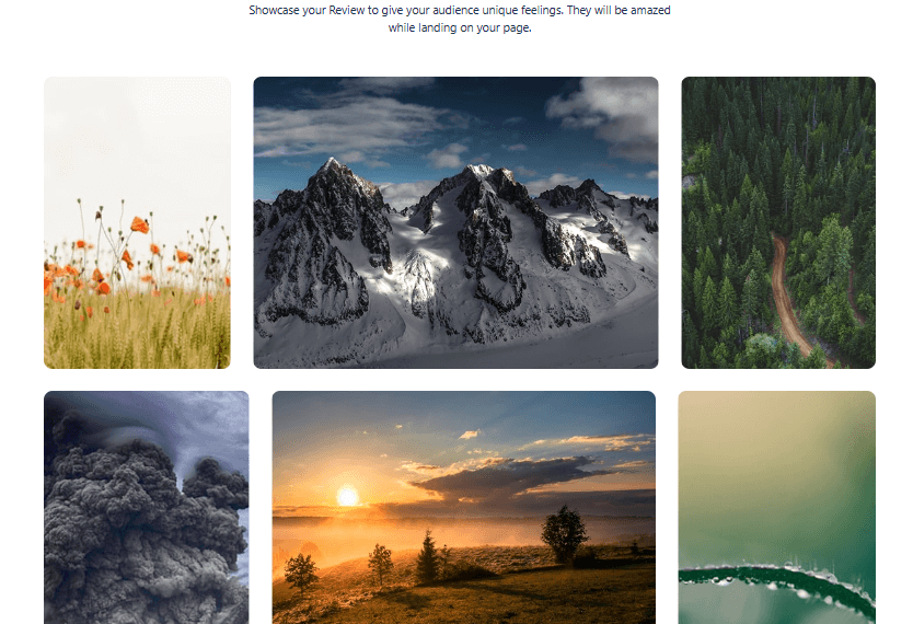 Gallery Block #Style 5