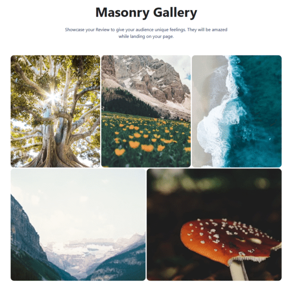 Gallery Block #Style 6