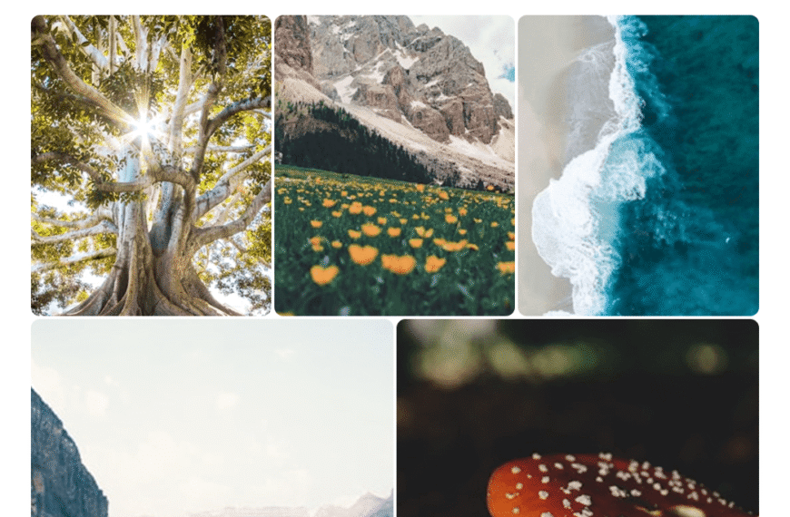 Gallery Block #Style 6